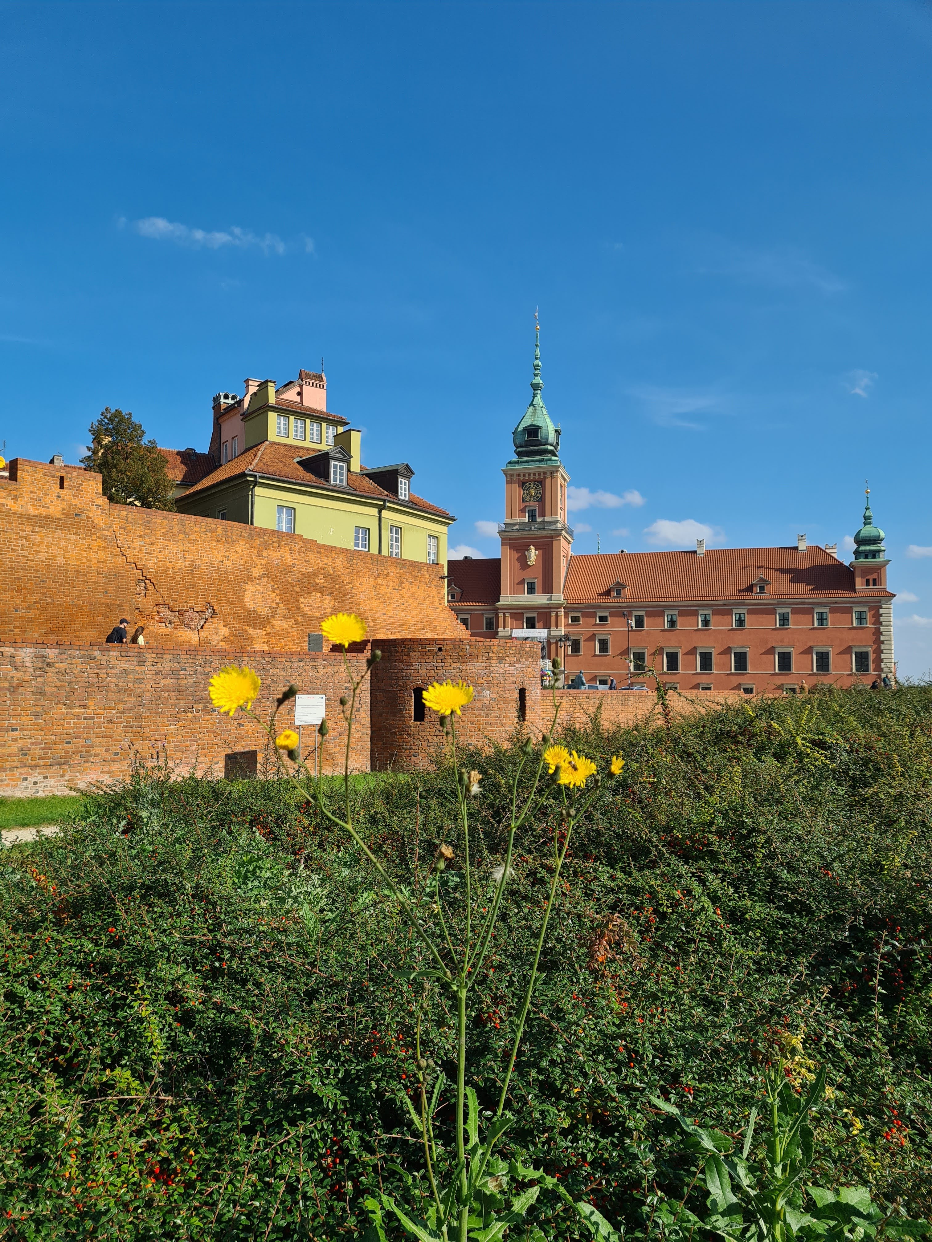 Plac Zamkowy i kolumna